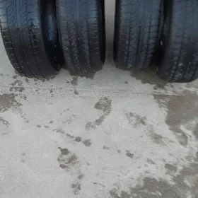 205.  65 15