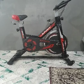 sport tigir
