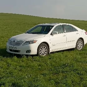 Toyota Camry 2010