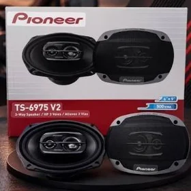 pioneer kalonka