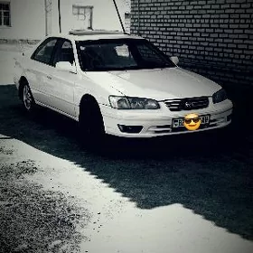 Toyota Camry 2001