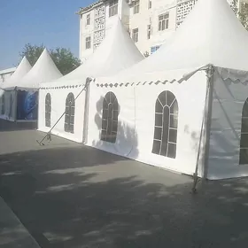 Palatka Палатка