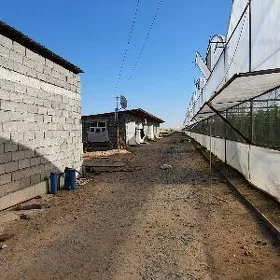 Ýyladyşhana teplisa