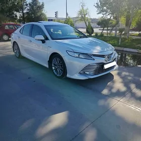 Toyota Camry 2019