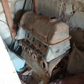 diwitil motor