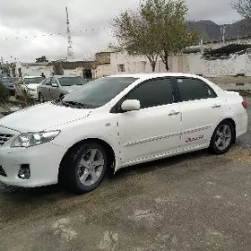 Carolla 16 diska