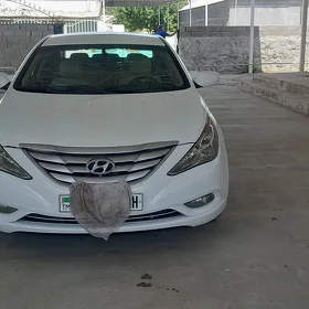 Hyundai Sonata 2010