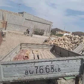 gazel bort