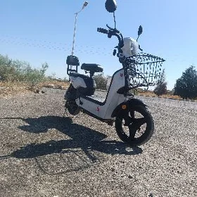 electric skuter scooter