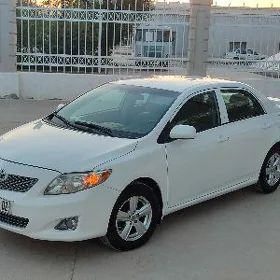Toyota Corolla 2010