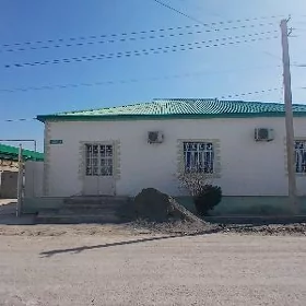 taze gami