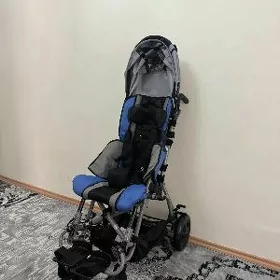 detskiy inwalidniy kalyaska