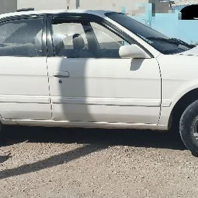 Toyota Tercel 1995