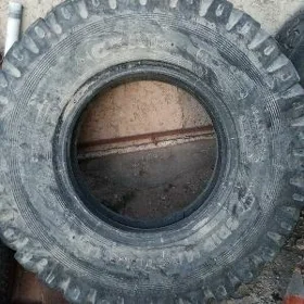 Teker Greydr