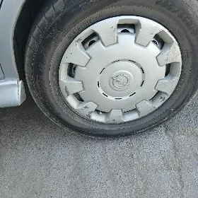 kalpak 15 lik