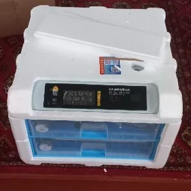 inkubator