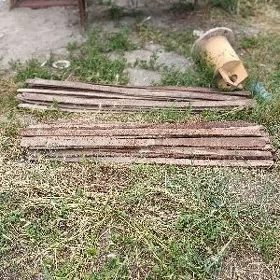 Pacak satlyk