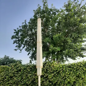 zontik