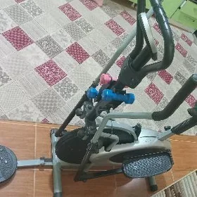 Trenijorny wilsapet