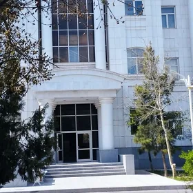 elitka gogul