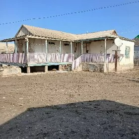 ağaç jaý