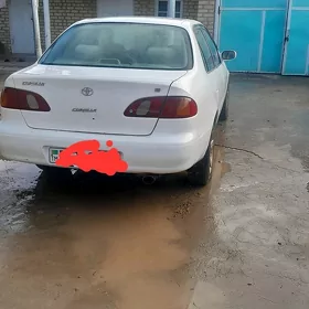 Toyota Corolla 1999