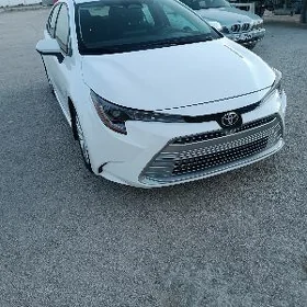 Toyota Corolla 2024