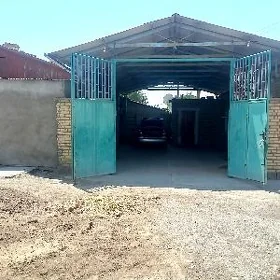 Satlyk Jaý Duşak
