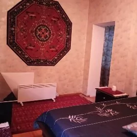 SATLYK JAYLAR