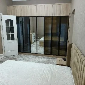 SATLYK JAYLAR