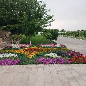 Buzmeyin gres