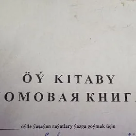 satlyk jaý