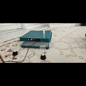 Inkubator