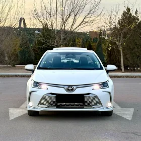 Toyota Corolla 2025