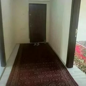 taze ahal