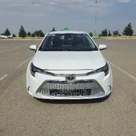 Toyota Corolla 2021