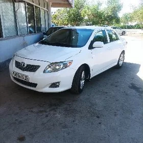 Toyota Corolla 2010