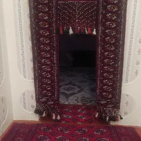 Haly gapylyk