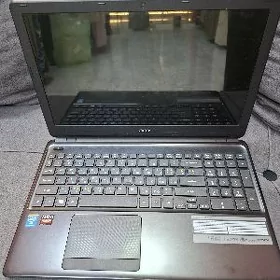 acer
