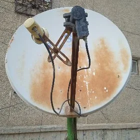 Antan