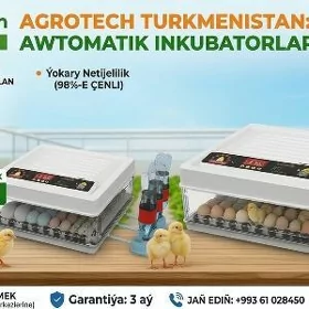 Инкубатор Inkubator Jüýje Gaz