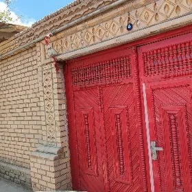 Ahal koche