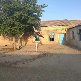 Baherden jay
