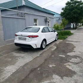 Toyota Corolla 2021