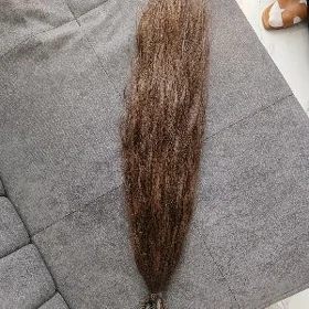 sc