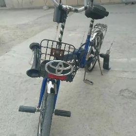 kaama