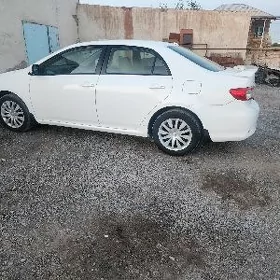 Toyota Corolla 2011
