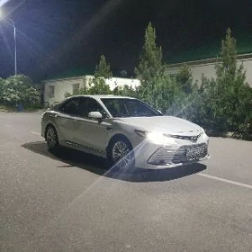 Toyota Camry 2019