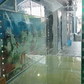 Akwariyum