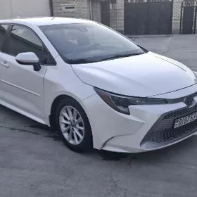 Toyota Corolla 2020